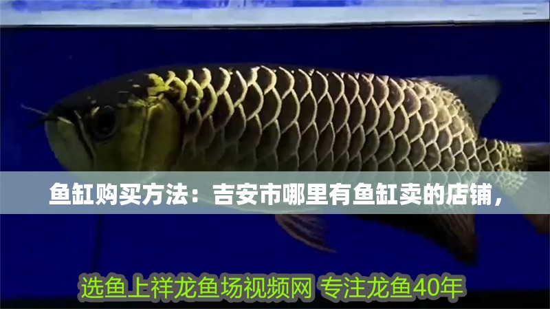 魚缸購買方法：<strong><mark>吉安</mark></strong>市哪里有魚缸賣的店鋪，