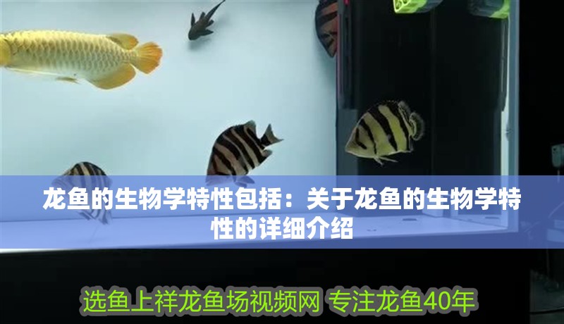 龍魚的生物學特性包括：關于龍魚的生物學特性的詳細介紹