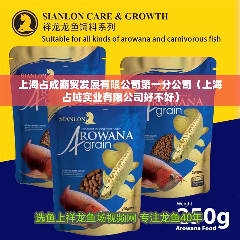 上海占成商貿發展有限公司第一分公司（上海占域實業有限公司好不好）