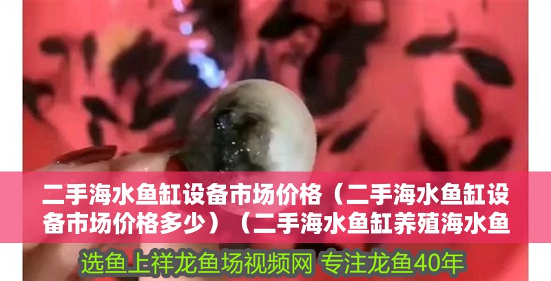 二手海水魚缸設(shè)備市場(chǎng)價(jià)格（二手海水魚缸設(shè)備市場(chǎng)價(jià)格多少）（二手海水魚缸養(yǎng)殖海水魚缸設(shè)備市場(chǎng)價(jià)格在500元左右）