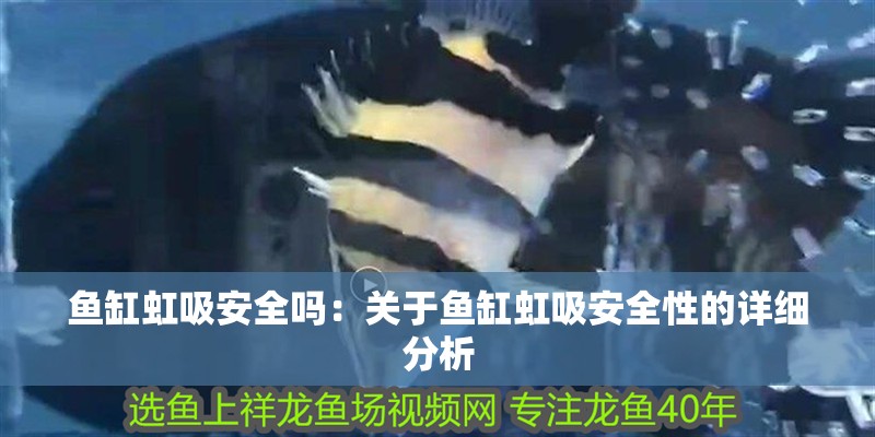 魚缸虹吸安全嗎：關于魚缸虹吸安全性的詳細分析