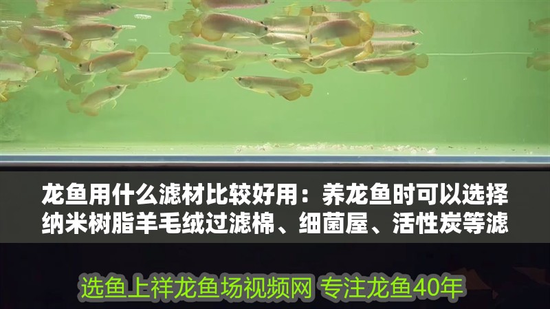 龍魚用什么濾材比較好用：養(yǎng)龍魚時可以選擇納米樹脂羊毛絨過濾棉、細菌屋、活性炭等濾材