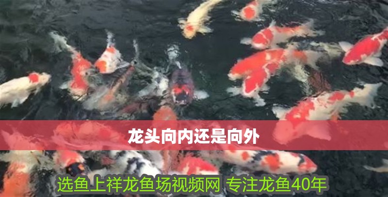 龍頭向內還是向外