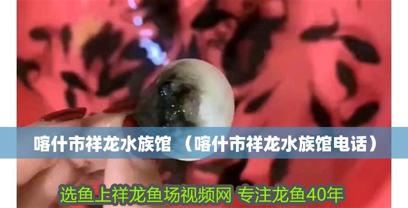 喀什市祥龍水族館 （喀什市祥龍水族館電話）