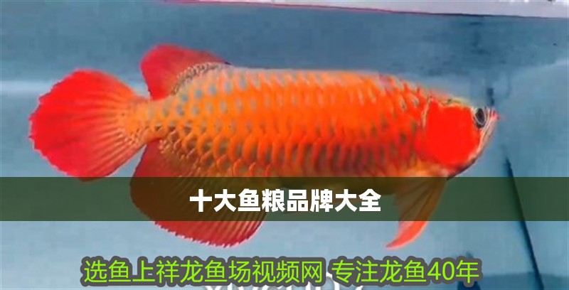 魚缸過濾器選購指南:自制魚缸過濾器魚缸上置過濾器對于養魚愛好者的必備知識 十大魚糧品牌大全 龍魚論壇 十大魚糧品牌大全 十大魚糧品牌大全 龍魚論壇