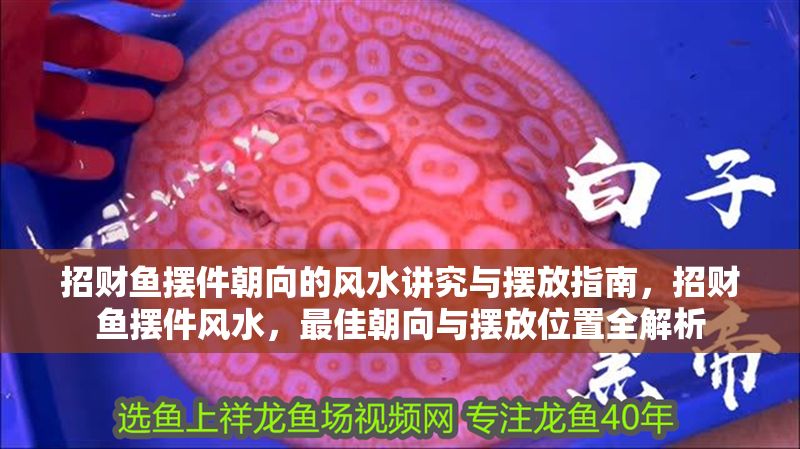 招財魚擺件朝向的風水講究與擺放指南，招財魚擺件風水，最佳朝向與擺放位置全解析 招財魚擺件朝向的風水講究與擺放指南，招財魚擺件風水，最佳朝向與擺放位置全解析 龍魚百科 第1張