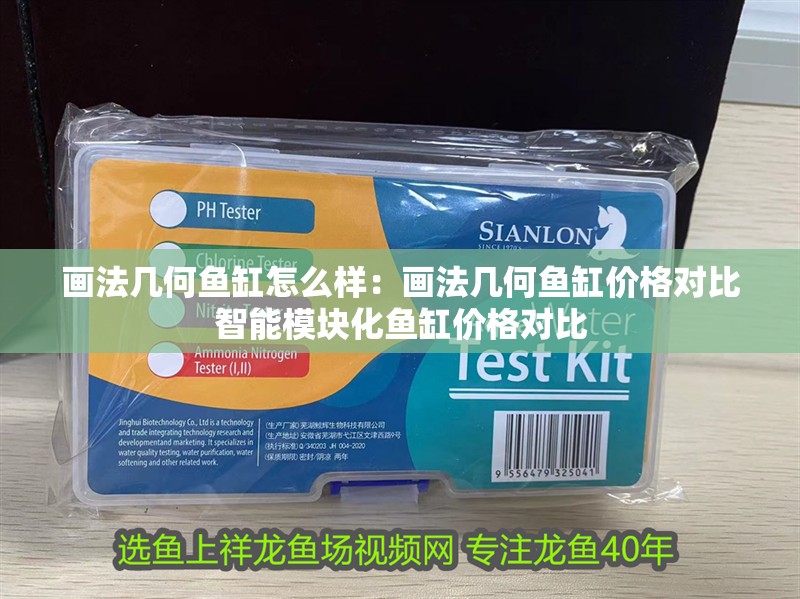 畫法幾何魚缸怎么樣：畫法幾何魚缸價格對比智能模塊化魚缸價格對比