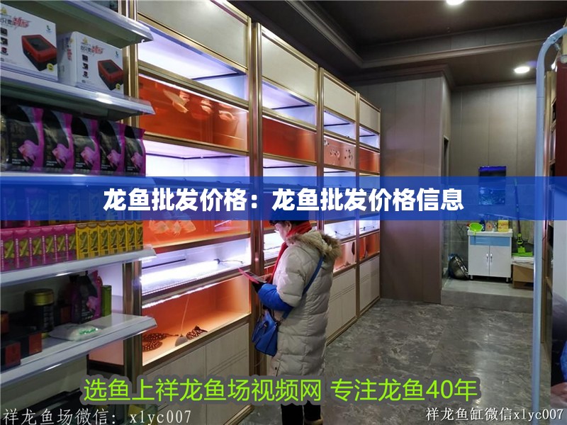 龍魚批發價格：龍魚批發價格信息