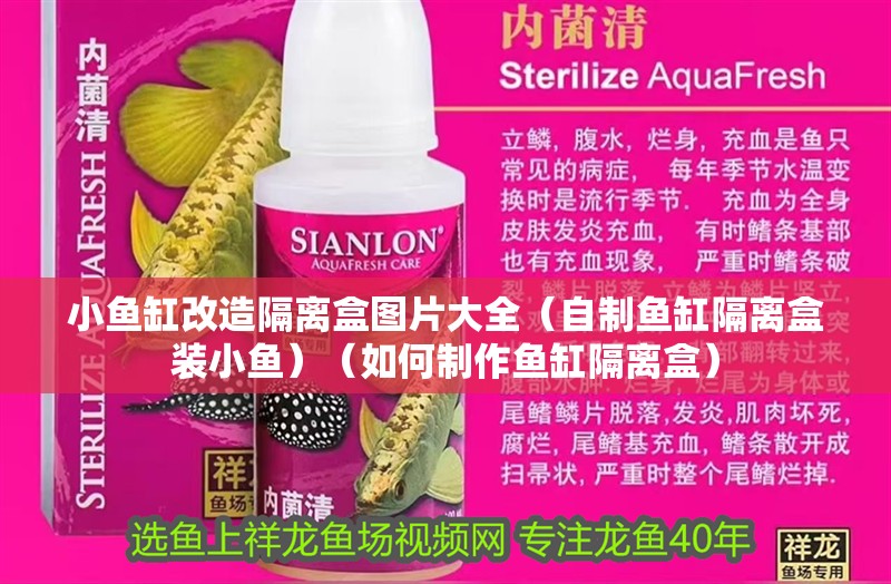 小魚缸改造隔離盒圖片大全（自制魚缸隔離盒裝小魚）（如何制作魚缸隔離盒） 小魚缸改造隔離盒圖片大全（自制魚缸隔離盒裝小魚）（如何制作魚缸隔離盒） 魚缸百科