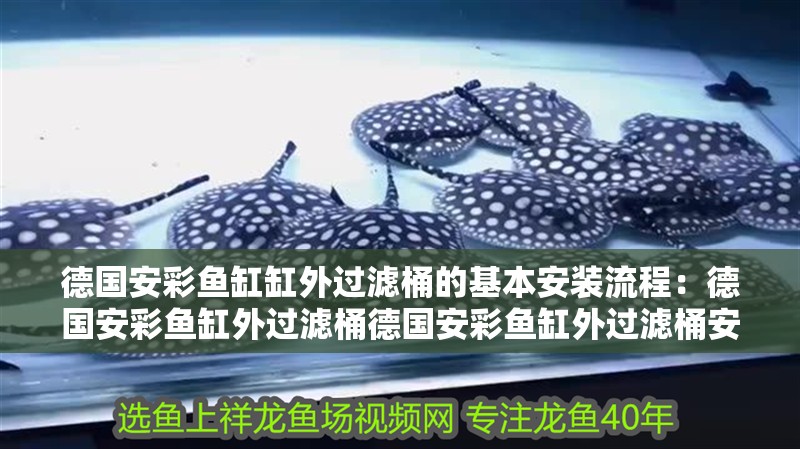 德國安彩魚缸缸外過濾桶的基本安裝流程：德國安彩魚缸外過濾桶德國安彩魚缸外過濾桶安裝教程