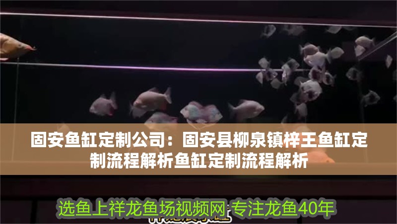 固安魚缸定制公司：固安縣柳泉鎮梓王魚缸定制流程解析魚缸定制流程解析