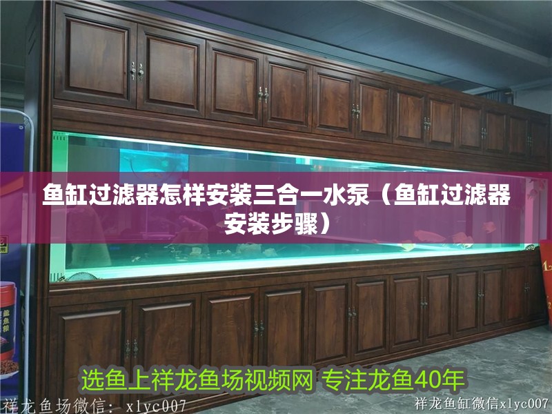 魚缸過濾器怎樣安裝三合一水泵（魚缸過濾器安裝步驟） 魚缸過濾器怎樣安裝三合一水泵（魚缸過濾器安裝步驟） 魚缸百科