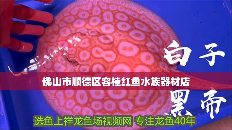 佛山市順德區(qū)容桂紅魚(yú)水族器材店