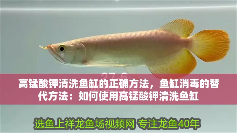 高錳酸鉀清洗魚缸的正確方法，魚缸消毒的替代方法：如何使用高錳酸鉀清洗魚缸