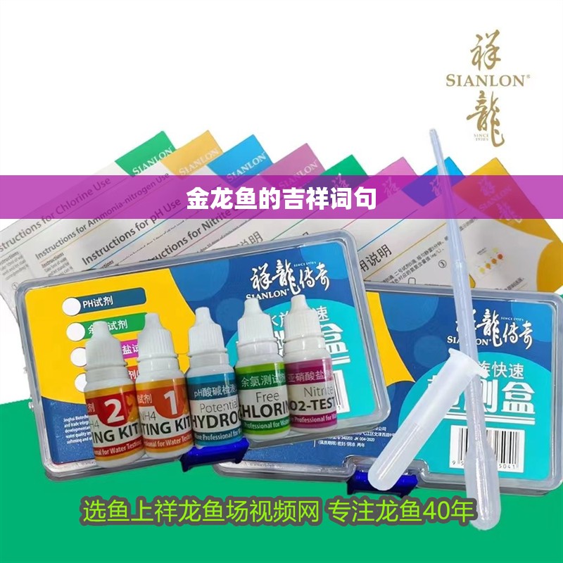 金龍魚的吉祥詞句 金龍魚的吉祥詞句 龍魚論壇