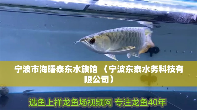 寧波市海曙泰東水族館 （寧波東泰水務科技有限公司）