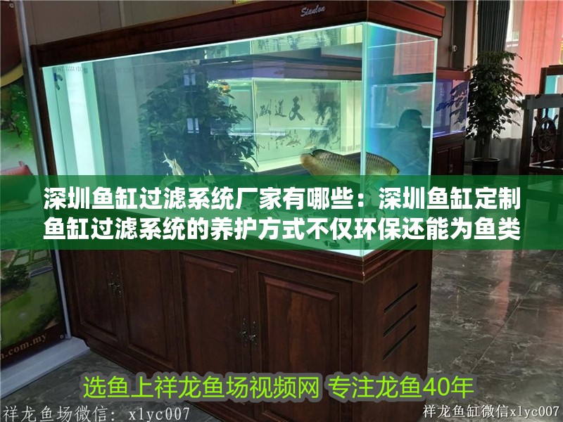 深圳魚缸過濾系統廠家有哪些：深圳魚缸定制魚缸過濾系統的養護方式不僅環保還能為魚類提供定制