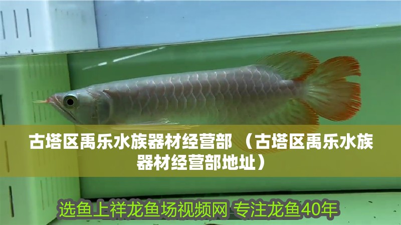 古塔區(qū)禹樂水族器材經(jīng)營部 （古塔區(qū)禹樂水族器材經(jīng)營部地址）