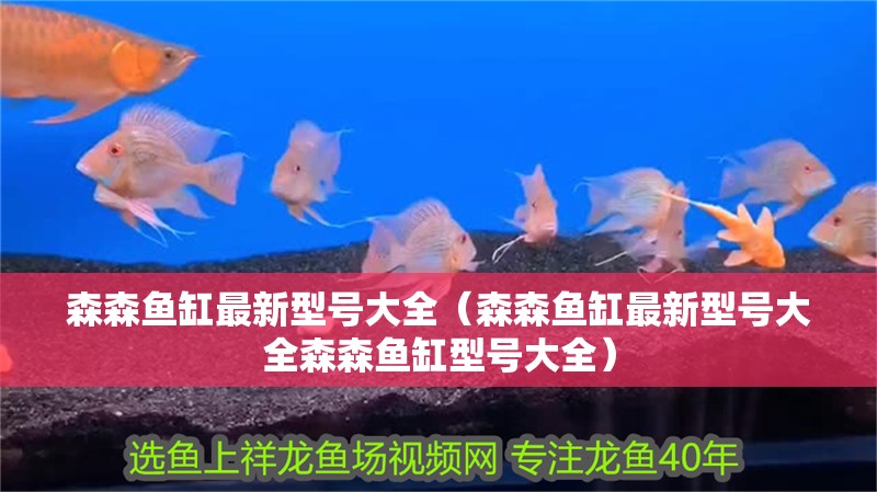 森森魚缸最新型號大全（森森魚缸最新型號大全森森魚缸型號大全）