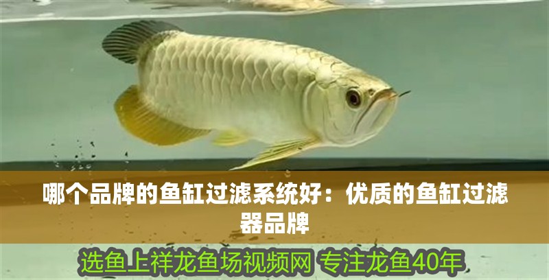 哪個品牌的魚缸過濾系統好：優質的魚缸過濾器品牌 哪個品牌的魚缸過濾系統好：優質的魚缸過濾器品牌 魚缸百科