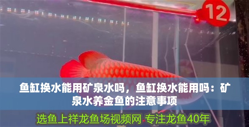 魚缸換水能用礦泉水嗎，魚缸換水能用嗎：礦泉水養金魚的注意事項 魚缸換水能用礦泉水嗎，魚缸換水能用嗎：礦泉水養金魚的注意事項 魚缸百科