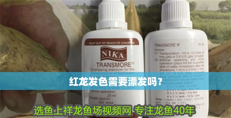 紅龍發色需要漂發嗎？