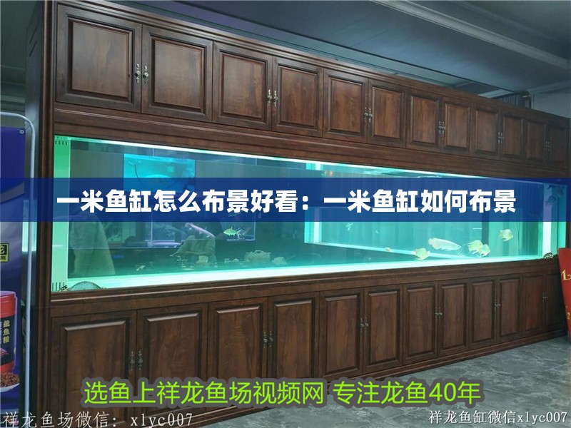 一米魚缸怎么布景好看：一米魚缸如何布景