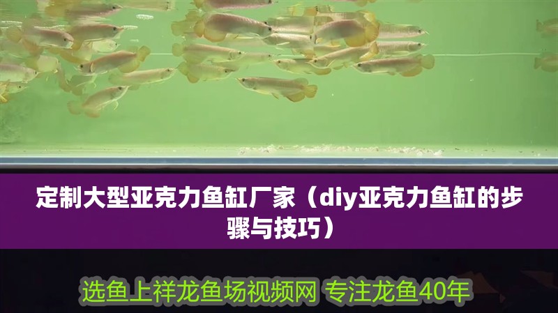 定制大型亞克力魚缸廠家（diy亞克力魚缸的步驟與技巧）