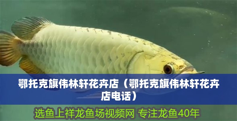 給大魚缸換水的作文:體驗給大魚缸換水的樂趣:體驗給大魚缸換水:給大魚缸換水的作文 鄂托克旗偉林軒花卉店(鄂托克旗偉林軒花卉店電話) 全國水族館企業名錄 鄂托克旗偉林軒花卉店(鄂托克旗偉林軒花卉店電話) 鄂托克旗偉林軒花卉店(鄂托克旗偉林軒花卉店電話) 全國水族館企業名錄