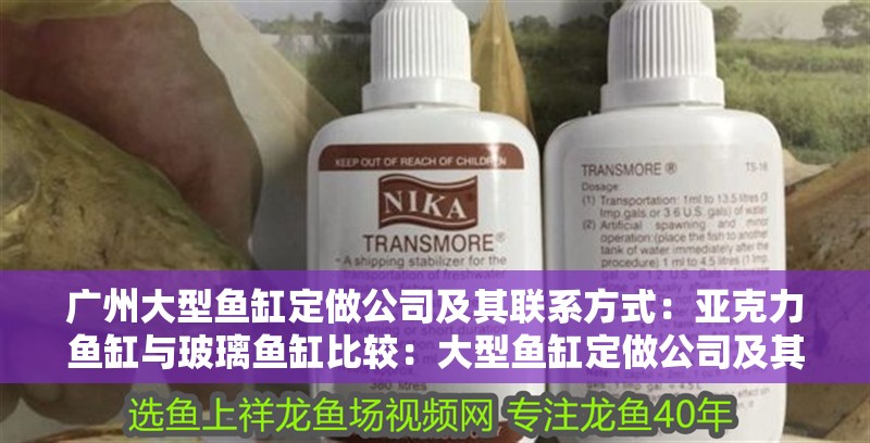 廣州大型魚缸定做公司及其聯系方式：亞克力魚缸與玻璃魚缸比較：大型魚缸定做公司及其聯系方式：廣州豐冀水族工程