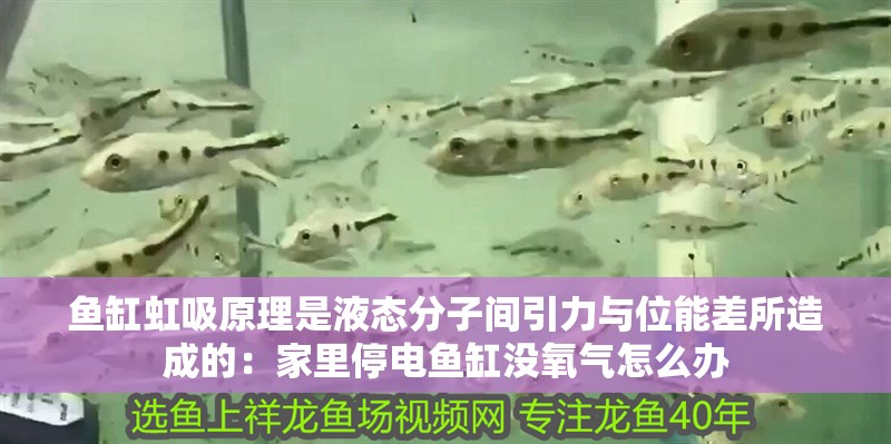 魚缸虹吸原理是液態分子間引力與位能差所造成的：家里停電魚缸沒氧氣怎么辦 魚缸虹吸原理是液態分子間引力與位能差所造成的：家里停電魚缸沒氧氣怎么辦 魚缸百科
