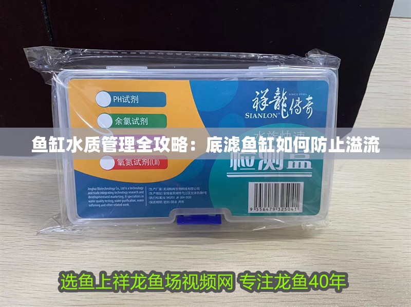 魚缸水質管理全攻略：底濾魚缸如何防止溢流