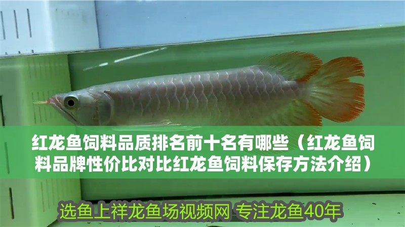 紅龍魚飼料品質(zhì)排名前十名有哪些（紅龍魚飼料品牌性價比對比紅龍魚飼料保存方法介紹）