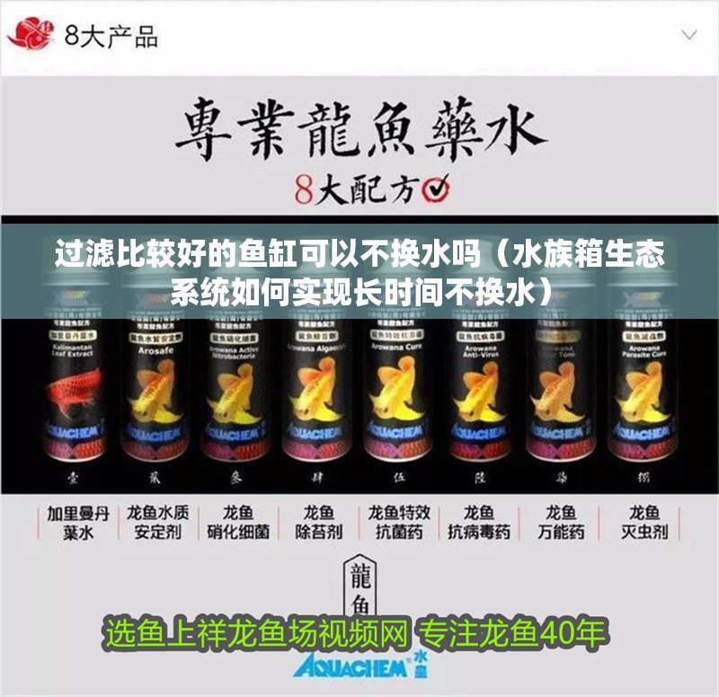 過濾比較好的魚缸可以不換水嗎（水族箱生態系統如何實現長時間不換水） 過濾比較好的魚缸可以不換水嗎（水族箱生態系統如何實現長時間不換水） 魚缸百科