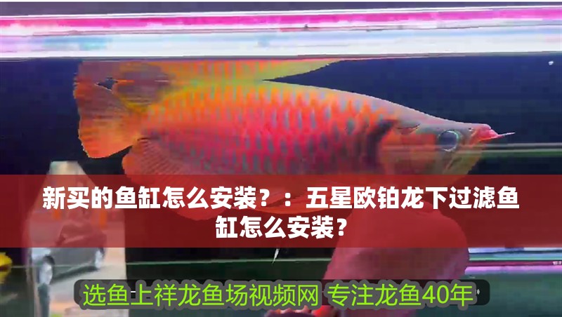 新買的魚缸怎么安裝？：五星歐鉑龍下過濾魚缸怎么安裝？