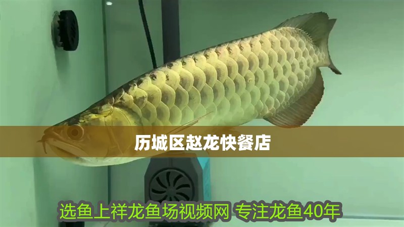龍魚干蝦有營養嗎 歷城區趙龍快餐店 全國水族館企業名錄 歷城區趙龍快餐店 歷城區趙龍快餐店 全國水族館企業名錄