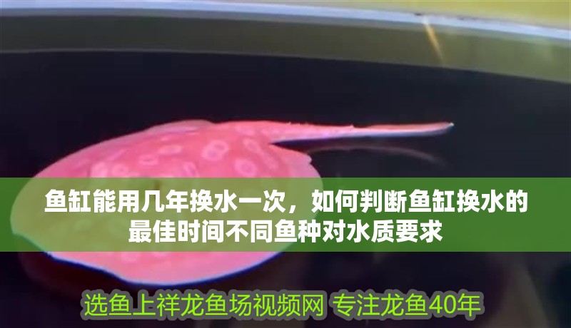 魚缸能用幾年換水一次，如何判斷魚缸換水的最佳時間不同魚種對水質要求