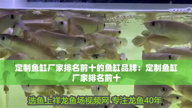 定制魚缸廠家排名前十的魚缸品牌：定制魚缸廠家排名前十