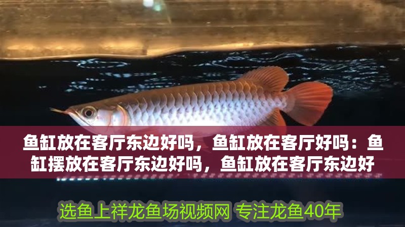 魚缸放在客廳東邊好嗎，魚缸放在客廳好嗎：魚缸擺放在客廳東邊好嗎，魚缸放在客廳東邊好嗎，魚缸放在客廳好嗎 魚缸放在客廳東邊好嗎，魚缸放在客廳好嗎：魚缸擺放在客廳東邊好嗎，魚缸放在客廳東邊好嗎，魚缸放在客廳好嗎 魚缸百科