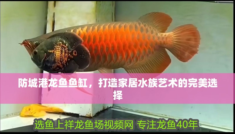 <strong><mark>防城港</mark></strong>龍魚魚缸，打造家居水族藝術的完美選擇
