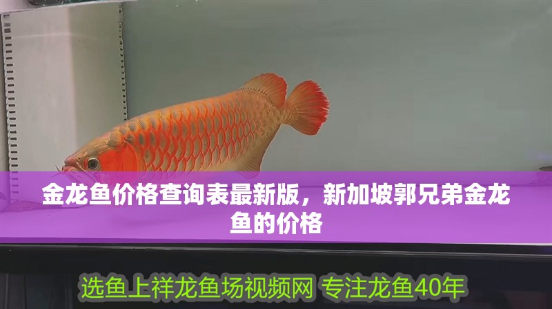 金龍魚價(jià)格查詢表最新版，新加坡郭兄弟金龍魚的價(jià)格