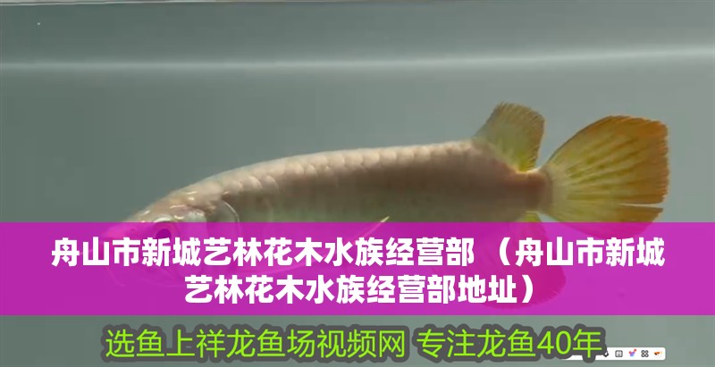 <strong><mark>舟山</mark></strong>市新城藝林花木水族經營部 （<strong><mark>舟山</mark></strong>市新城藝林花木水族經營部地址）