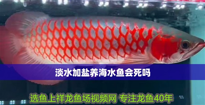 魚缸用增氧泵價格是多少:魚缸增氧機-xtrac增氧機-xtrac增氧機 淡水加鹽養海水魚會死嗎 龍魚論壇 淡水加鹽養海水魚會死嗎 淡水加鹽養海水魚會死嗎 龍魚論壇