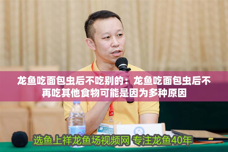 龍魚吃面包蟲后不吃別的：龍魚吃面包蟲后不再吃其他食物可能是因為多種原因