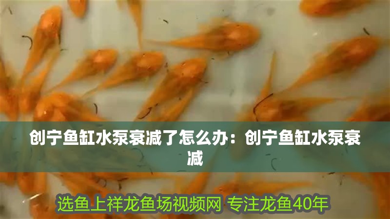 魚缸用增氧泵價格是多少:魚缸增氧機-xtrac增氧機-xtrac增氧機 創寧魚缸水泵衰減了怎么辦:創寧魚缸水泵衰減 魚缸百科 創寧魚缸水泵衰減了怎么辦:創寧魚缸水泵衰減 創寧魚缸水泵衰減了怎么辦:創寧魚缸水泵衰減 魚缸百科
