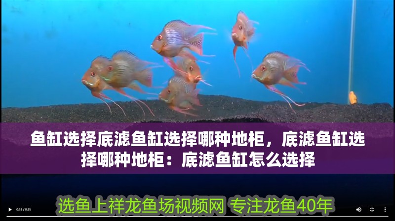 魚缸選擇底濾魚缸選擇哪種地柜，底濾魚缸選擇哪種地柜：底濾魚缸怎么選擇