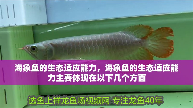 海象魚的生態適應能力，海象魚的生態適應能力主要體現在以下幾個方面