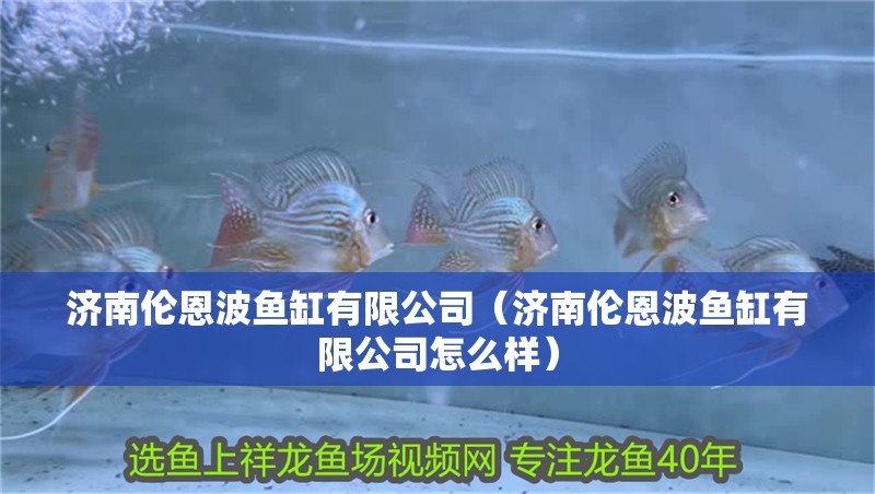 濟南倫恩波魚缸有限公司（濟南倫恩波魚缸有限公司怎么樣）