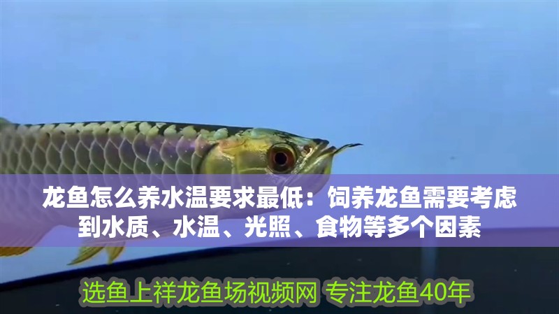 龍魚怎么養水溫要求最低：飼養龍魚需要考慮到水質、水溫、光照、食物等多個因素