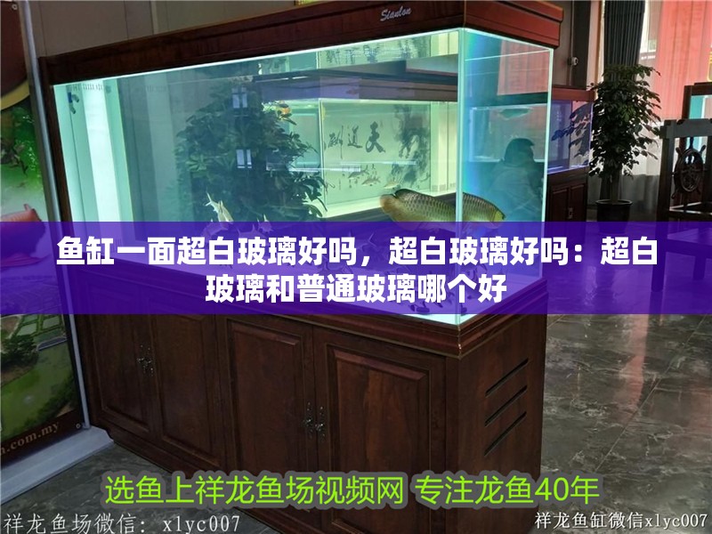 魚缸一面超白玻璃好嗎，超白玻璃好嗎：超白玻璃和普通玻璃哪個好